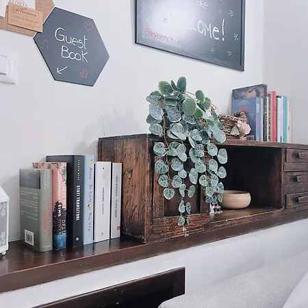 【visconti Di Modrone】 ☆☆☆☆☆ Prestigious *