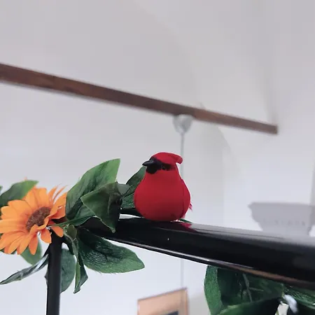 【visconti Di Modrone】 ☆☆☆☆☆ Prestigious