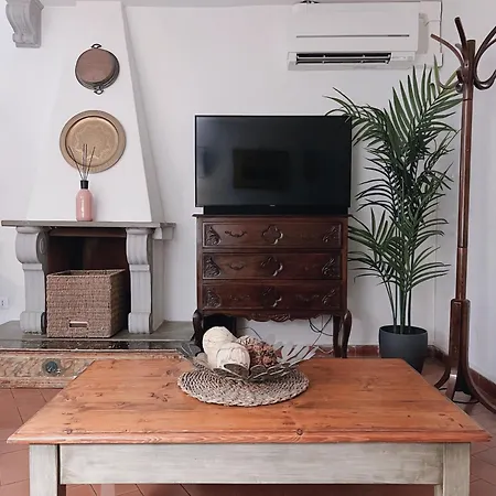 【visconti Di Modrone】 ☆☆☆☆☆ Prestigious